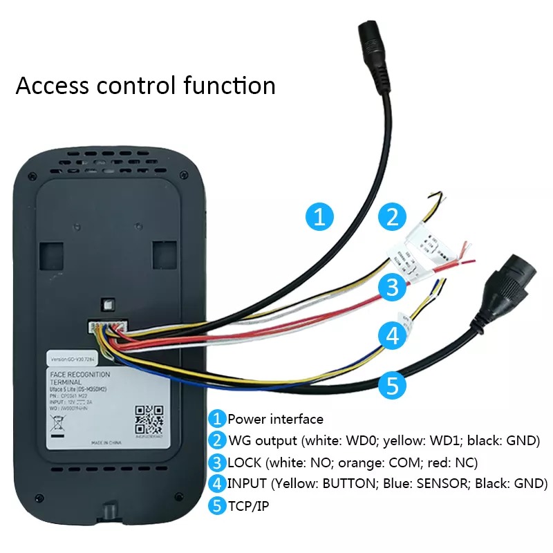 Speedface-V4L Wiring.jpg